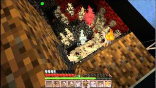 Silverfish huge atack