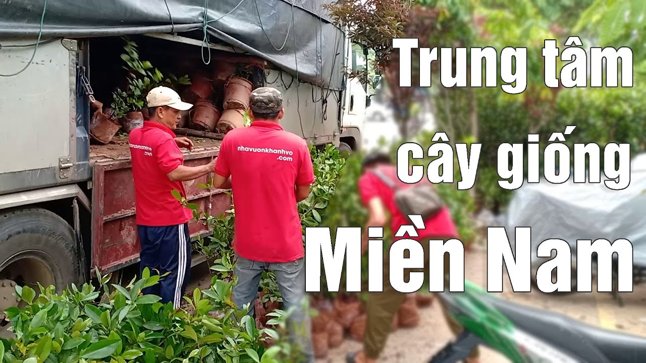 Nhà Vườn Khánh Võ – Trung tâm cây giống Miền Nam. Giá từ 150k
