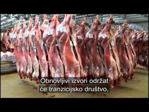 Video: Glasovi Povijesti