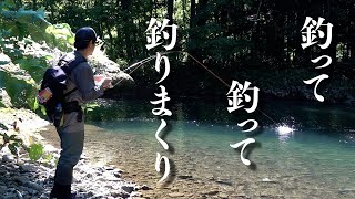 【ヤマメ狙い】夏の渓流 私のリュウキ釣法教えます