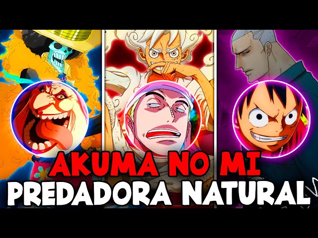 Predadora natural da Hie Hie no Mi #onepiece #akumanomi #anime #otaku