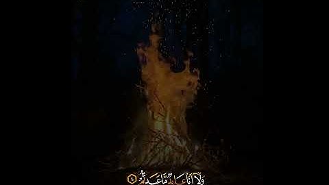 الشيخ ياسر الدوسري سورة الكافرون