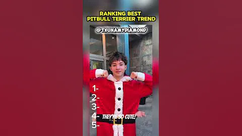 Ranking the best pitbull terrier dance trend!