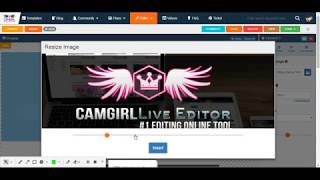 Camgirl Live Editor Chaturbate Bio Editing    Prototype