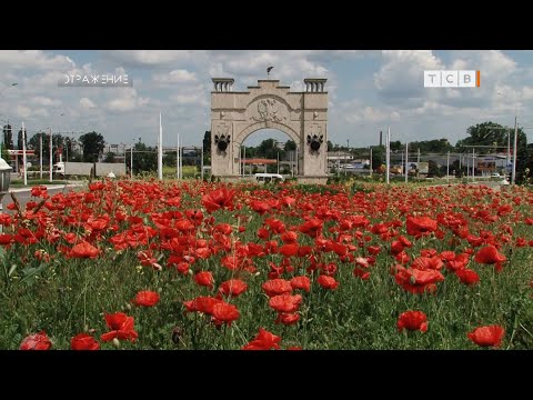 Ускользающая красота диких