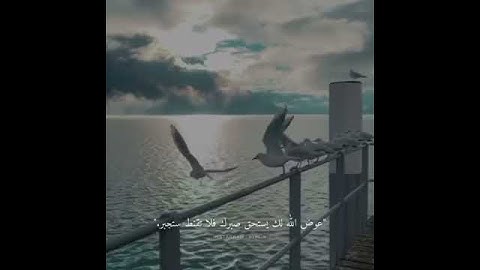 ايه من القران هادئه بتلاوة القارئ #عبدالرحمن_مسعد