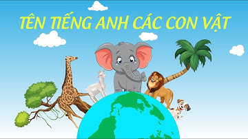 Đọc Tên Tiếng Anh Của Các Con Vật Qua Trò Chơi Giải Ô Chữ ❤️ TÉP CÒI TV ❤️