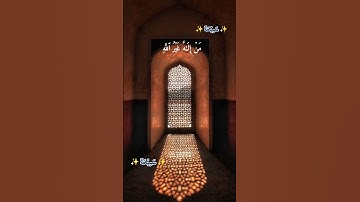 #قرآن_يريح_القلب #الشعب_الصيني_ماله_حل #قرآن   #قران_كريم #سورة_القصص