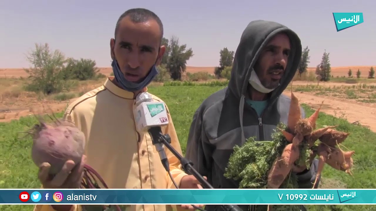 النعامة : فلاحو بن زلاط بن طاهر بمكمن بن عمار يناشدون السلطات لتوفير المياه