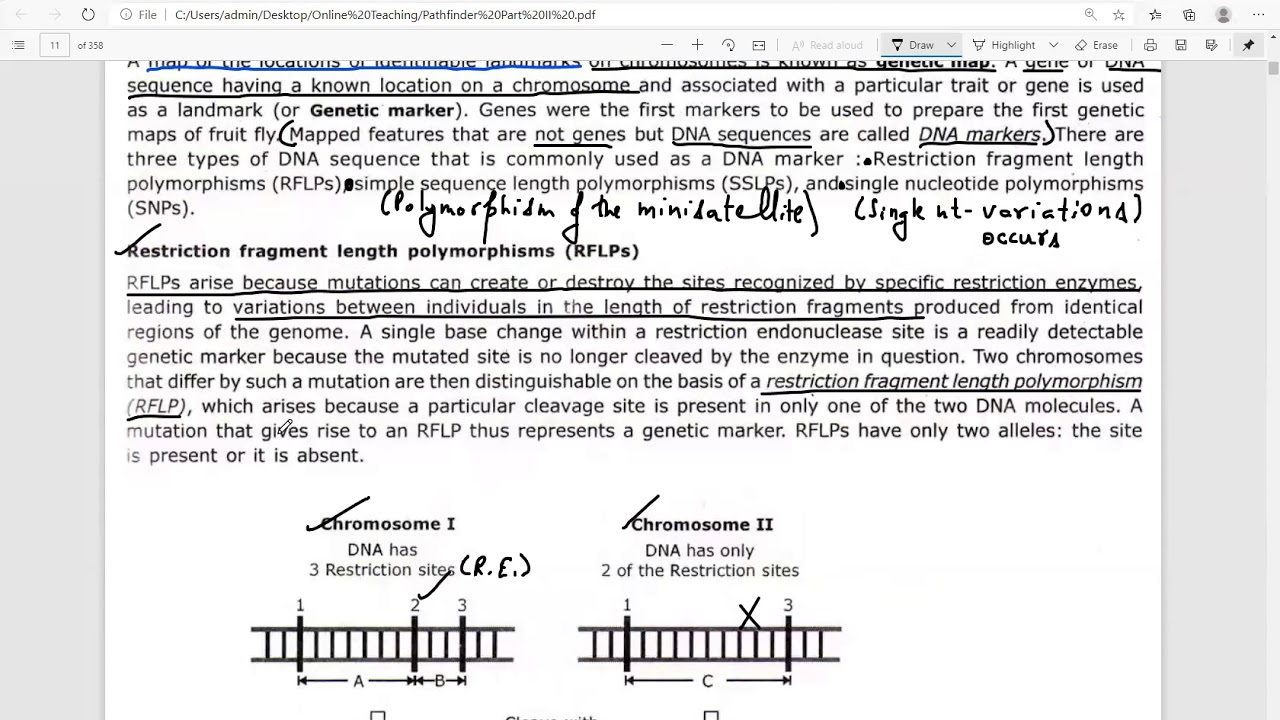 # Molecular Biology L7