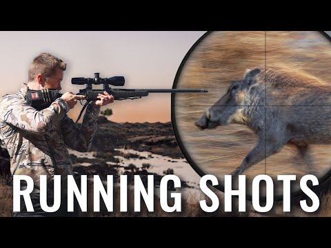 The War Against Warthogs - South Africa's Fight Against Wildlife