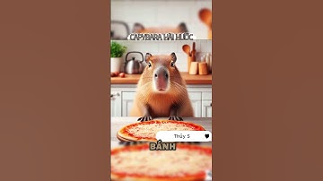 Capybara Lấy Cục Xà Phòng Troll Chó Bắc! #shorts