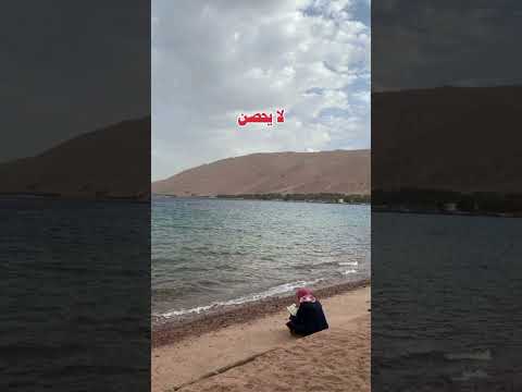 ما لا ينال بالله لا ينال ديني دينية اذكار اذكار المساء اسلاميات دين حالات واتس حب الله