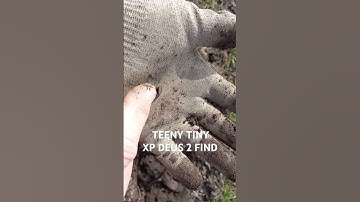 TEENY TINY XP DEUS 2 FIND #metaldetecting #uk