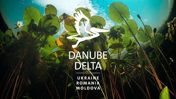 World Rewilding Day 2022 | Message from Rewilding Danube Delta | This is #WhyWeRewild