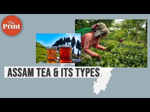 Types of Assam tea and health