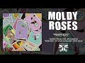 Moldy Roses - New Song "Friends"