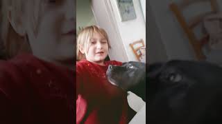 Je donne un bisous à mon chien🤮