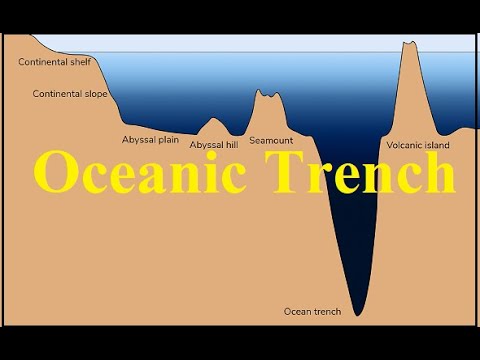 Deep Ocean Trench  Definition, Formation & Examples - Video