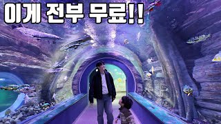 아무 조건없이 그냥 무료입장 가능하다는 신상 아쿠이리움에 다녀왔습니다!!
