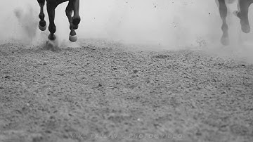 Legs of Horses Galloping. Slow Motion