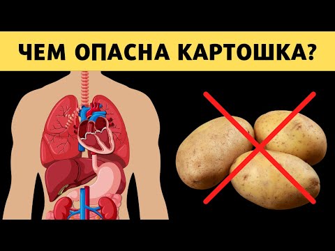 Чем опасен картофель? Стоит ли есть картофель?