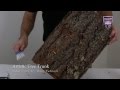 Decorative Tree Trunk Decorative Tree Trunk