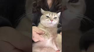 Im Peeking Through The Clouds