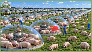 How China’s High Tech Mega Farms Are Taking Over the Global Food Industry