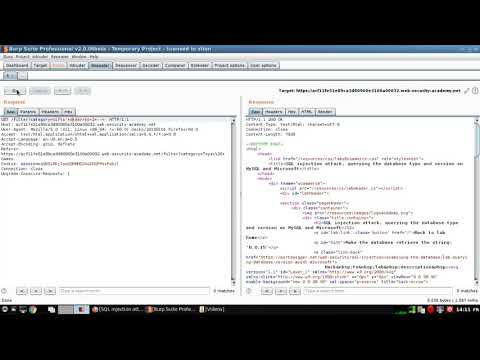 SQL injection attack, querying the database type and version on MySQL and Microsoft