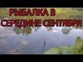 рыбалка поплавочной удочкой на реке в середине сентября.