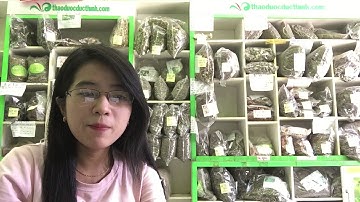 CÁCH SỬ DỤNG THIÊN NIÊN KIỆN CHỮA ĐAU NHỨC XƯƠNG KHỚP CỰC KÌ HIỆU QUẢ 0904.079.719