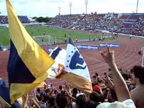 PUMAS Y LA REBEL EN CANCUN 2