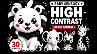 30 Min Baby Sensory Safari Animals 🦁 High Contrast Black White Red Video for Babies
