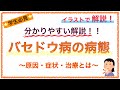 教科書をわかりやすく！「バセドウ病の病態」〜原因や症状、治療のメカニズムを解説！〜