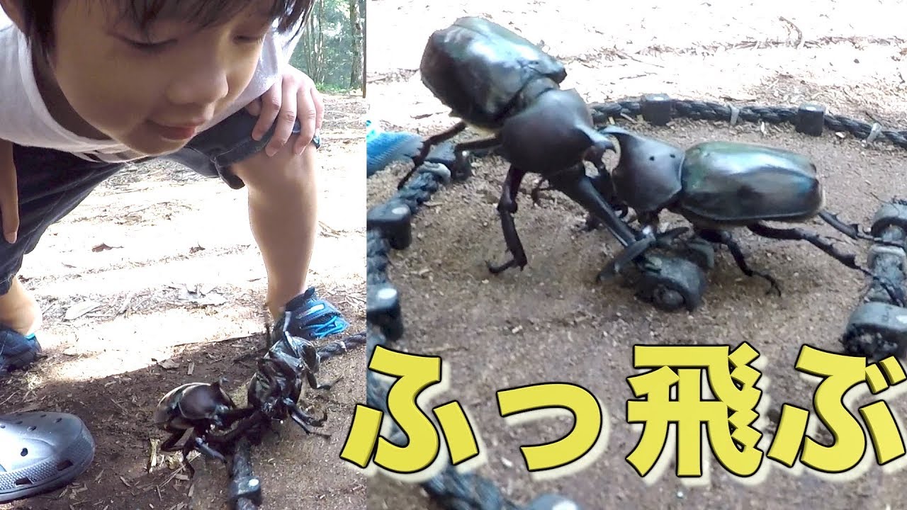 カブト虫 クワガタの飼育セット カブトムシ 木の葉ベッド 10g