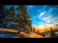 🍀 Beautiful Winter Relaxing Music, Snow Peaceful Soothing Instrumental Meditation Sleep Music #0306