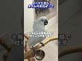 初めて見るチーズに反応が忙しすぎるオウム #shorts