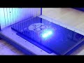 Opossum Police Acrylic Engraving | xTool F2 Standard IR Laser