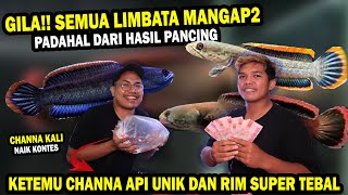 JACKPOT!!!  CHANNA API UNIK DAN RIM TEBAL INCARAN BANYAK ORANG ADA DI SINI??