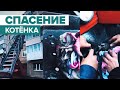 Спасение котёнка из горящего дома — видео