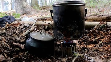 BUSHCRAFT TREE IDENTIFICATION