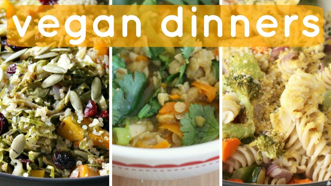 3 Easy Vegan Dinner Recipes // Healthy & Cheap - YouTube