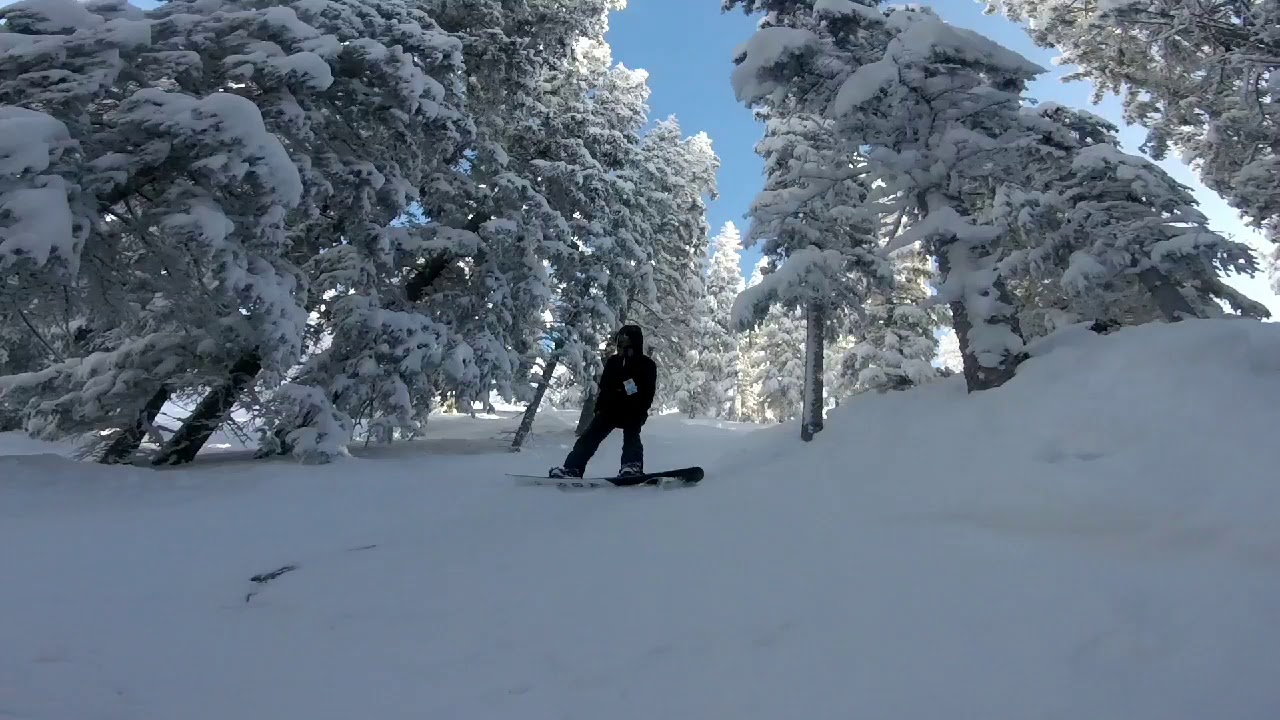 SNOWBOARDING THROUGH TREES AT *SKI SANTA FE* YouTube