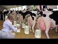 Amazing Modern Milking Cows, Epic Big Machines, Hoofs Trimming, Cleaning,Future Farming -LIVE STREAM