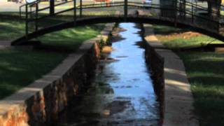 My CMM Math Trail 2011
