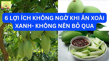6 lợi ích tuyệt vời khi ăn xoài xanh mà bạn không nên bỏ qua