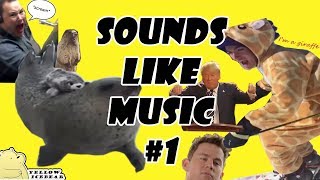 Sounds Like Music - Meme Remix Compilation #1