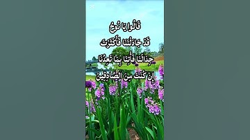 تلاوة مؤثرة من سورة هود الآية 32 بصوت خاشع يهز القلوب | استمع بخشوع وتأمل المعاني العظيمة