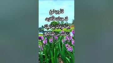 تلاوة مؤثرة من سورة هود الآية 32 بصوت خاشع يهز القلوب | استمع بخشوع وتأمل المعاني العظيمة